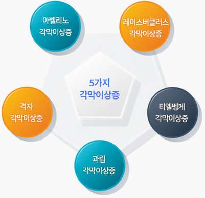 각막유전자_검사_시스템2.png